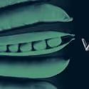 About Face Theatre and The Hypocrites Present THE WOYZECK PROJECT 4/10
