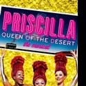 PRISCILLA QUEEN OF THE DESERT Introduces VIP Concierge Service