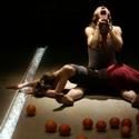 The Charlestown Working Theater Presents Teatr ZAR