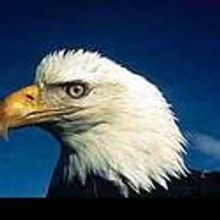 Little Roy Lewis Kicks Off BLUEGRASS SPECTACULAR In Iowa 8/29