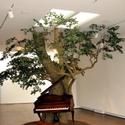 Focused Survey of Installation Art by Biggers Held at Brooklyn Museum