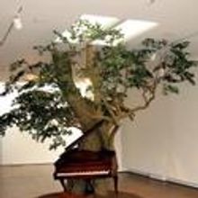 Focused Survey of Installation Art by Biggers Held at Brooklyn Museum