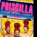 PRISCILLA QUEEN OF THE DESERT Celebrates 100th B-way Performance Tonight