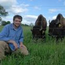 Bison Project Plays Hackmatack