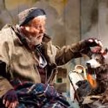 MR STINK Comes to the Rose