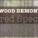 Endangered Species Project Presents THE WOOD DEMON June 13