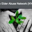 NYCEAN Joins with Elected Leaders to Launch Web Site June 15