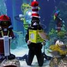 SEA LIFE Carlsbad Honors World Oceans Day with Seussian Celebration