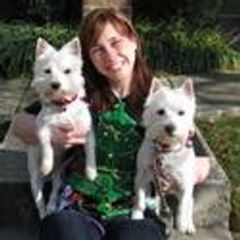 DSI Comedy Theater Announces New Leadership