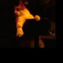 Abreact Performance Space Announces Its 11th Theatre Season 2011/2012