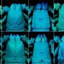 AMNH Exhibit To Showcase Advanced Imaging Technologies, Opens June 25
