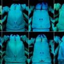 AMNH Exhibit To Showcase Advanced Imaging Technologies, Opens June 25