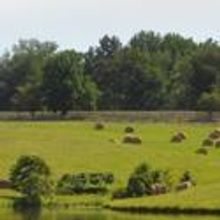Violinist Jennifer Koh, Cellist Alisa Weilerstein Perform at Caramoor Fest