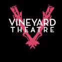 Sarah Stern Announced As co-Artistic Director of Vineyard Theatre