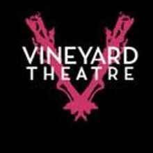 Sarah Stern Announced As co-Artistic Director of Vineyard Theatre