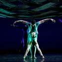 2011 FALL FOR DANCE FESTIVAL Set For NY City Center 10/27-11/6