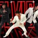 Broward Center Welcomes MacDonald's Memories of Elvis in Concert Tribute