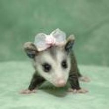 Blyth Festival Takes You Backstage With EARLY AUGUST, Opens 8/5