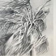 Nominees Chosen for 21st Annual Business in the Arts Awards