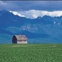 The Michael O'Neal Singers Present AMERICA'S HEARTLAND 5/14