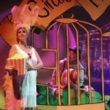 First Night's Top Ten of 2010: Nashville's Best Ensembles