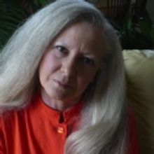 Grosse Pointe Library Annouces 2011 Book Lectures