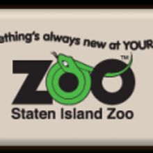 Staten Island Zoo Hosts Groundhog Day Prediction, 2/2