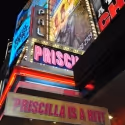 UP ON THE MARQUEE: PRISCILLA, QUEEN OF THE DESERT Complete!