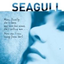 Marin Theatre Company Presents THE SEAGULL, 1/27-2/20
