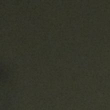 Review: 'Butterflies Are Free'