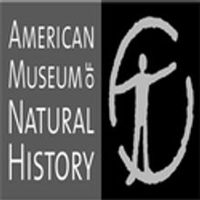 American Museum of Natural History Remains Open Today
