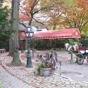 Donald Trump Wants to Bring Back Tavern on the Green