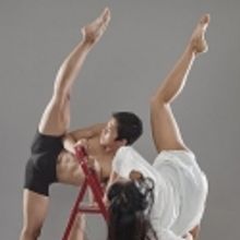 Nashville premieres on tap in Dance Theatre of Tennessee's ASPECTS OF LOVE