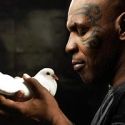 BOARDWALK EMPIRE's Michael Williams To Narrates Animal Planet's TAKING ON TYSON