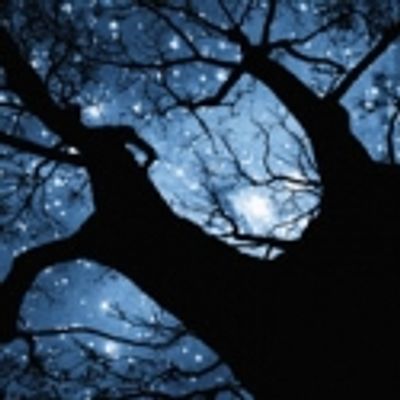 New York Theatre Workshop Partners With FAB Cafe During Peter and the Starcatcher, Opens 2/18