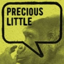 City Theatre Celebrates Artistic Director Tracy Brigden 3/12-4/3