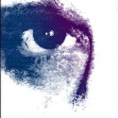 THE IDEALIST Reading Available Via Extended Webcast 2/23