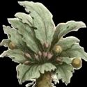 Gulfport Community Players Present The Mandrake, 3/3 - 3/13