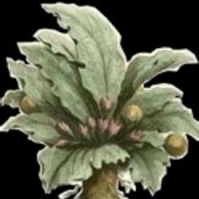 Gulfport Community Players Present The Mandrake, 3/3 - 3/13  