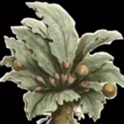 Gulfport Community Players Present The Mandrake, 3/3 - 3/13  