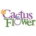 Meet the Cast of CACTUS FLOWER Day 1: Jenni Barber
