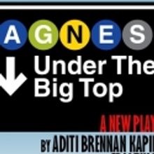 Long Wharf Theatre Partners with IRIS for Home Goods Drive in March & April