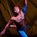 SPIDER-MAN Halted Tonight for Several Minutes for 'Safety Issue'