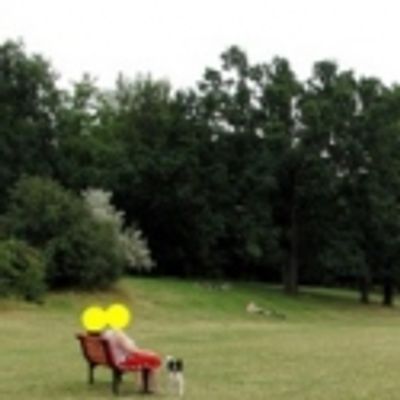 The Bench Plays at Vooruit, March 15 - 26 