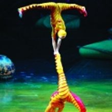 BWW Reviews: Ovations for OVO, Cirque du Soleil Returns to Houston