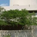 Dallas Theater Center Kicks Off $12 Million 
