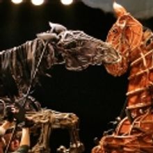 Previews Begin Tomorrow for WAR HORSE!
