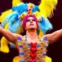 Photo Flash: Exclusive First Look at PRISCILLA QUEEN OF THE DESERT THE MUSICAL