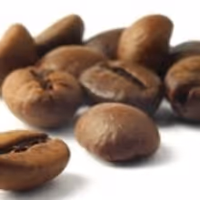 COFFEE: THE MUSICAL Aiming for Broadway Run
