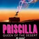 PRISCILLA QUEEN OF THE DESERT's James Brown lll Debuts Fashion Line on Opening Night